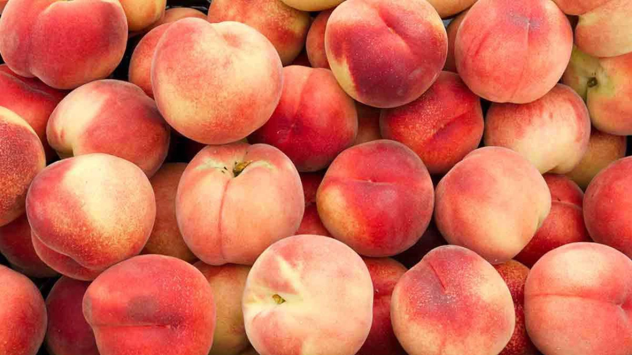 Georgia Exports 25.6 Thousand Tons of Peaches and Plums Worth $31.9 Million