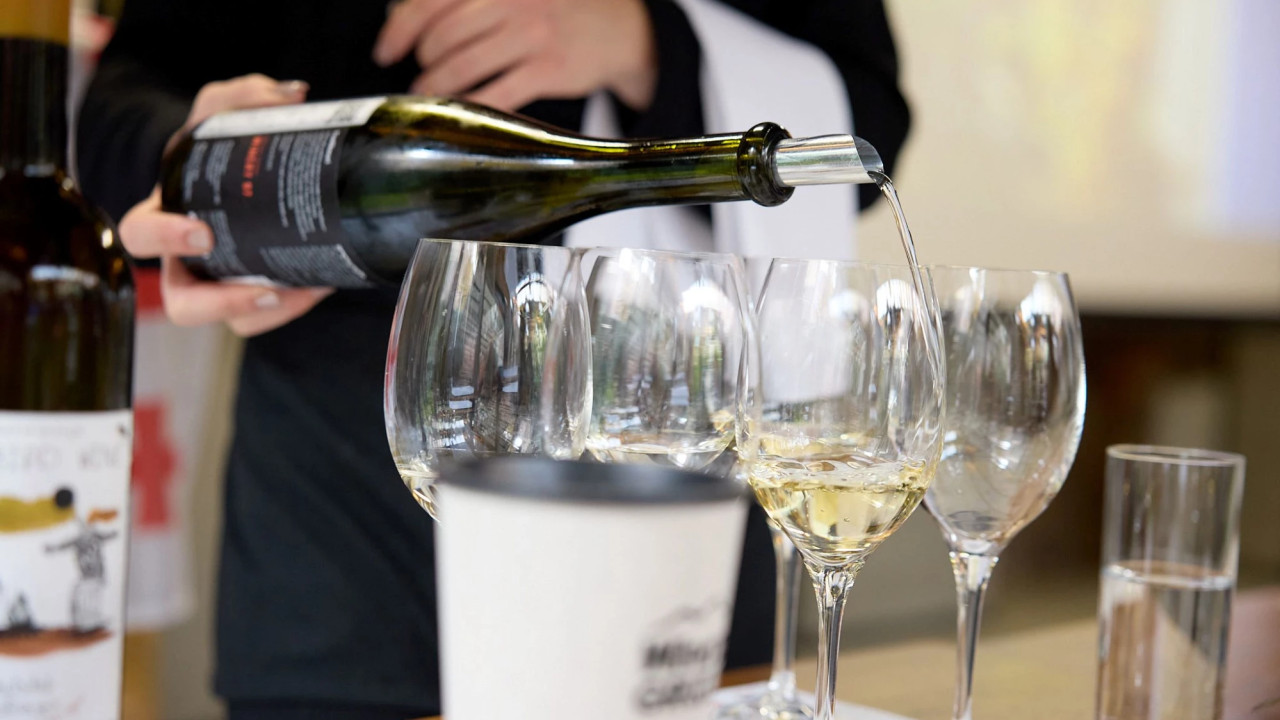With the Support of the National Wine Agency, Georgian Wine Promotion Events Were Held in More Than 20 Countries