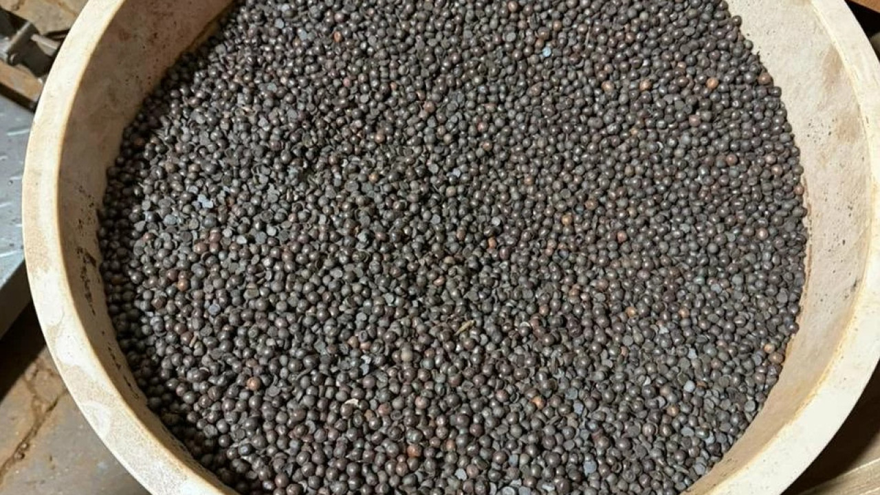 Coffee Factory in Tbilisi Suspended After Inspection Finds Use of Roasted Peas