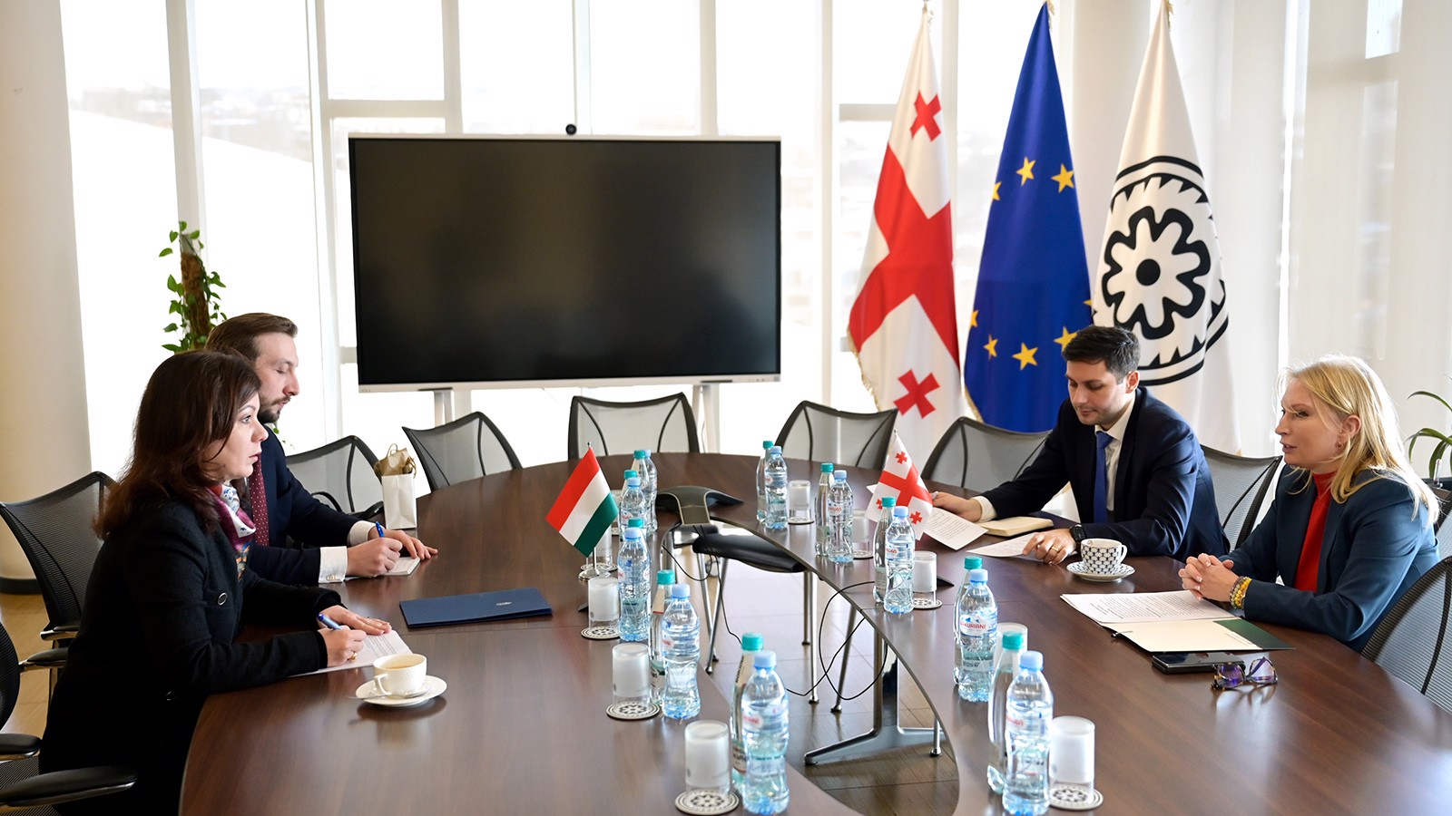 Natia Turnava Meets with the New Ambassador of Hungary