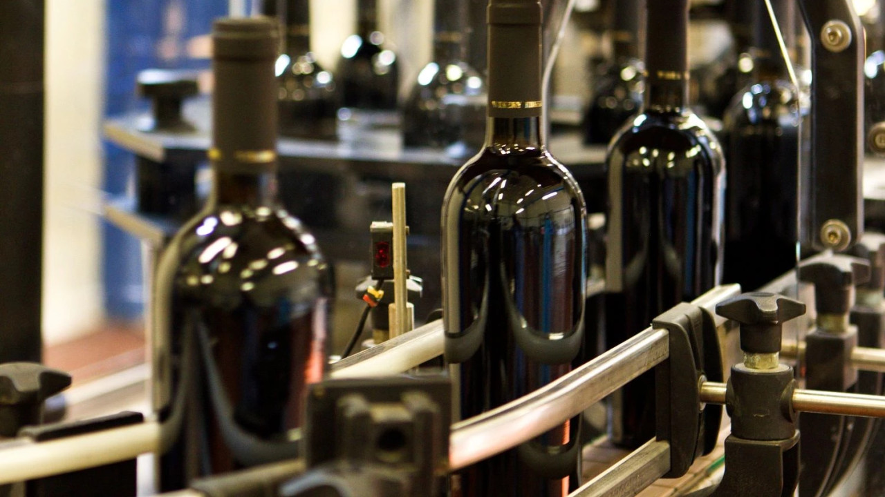 “Georgian Wine Exports to European Countries Are on the Rise” – National Wine Agency