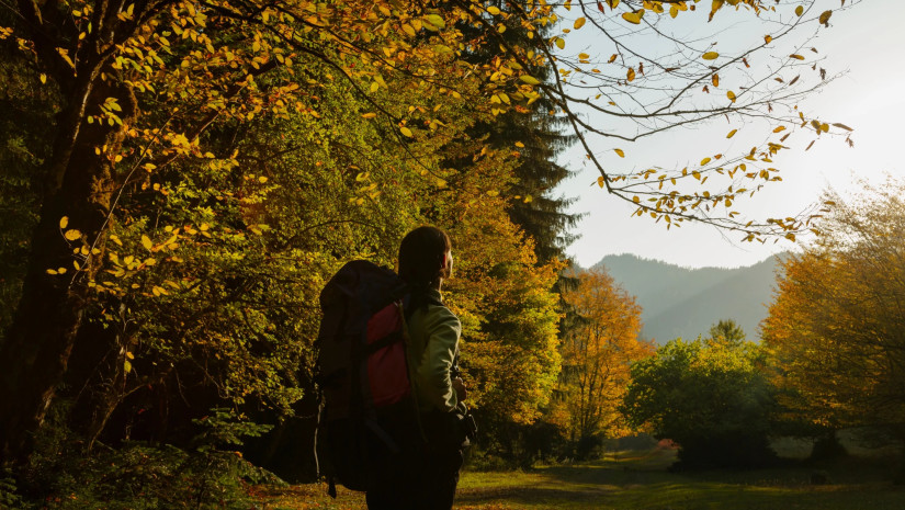 “Visitor Numbers to Georgia’s Protected Areas Increased by 13% Compared to Last Year” – Agency