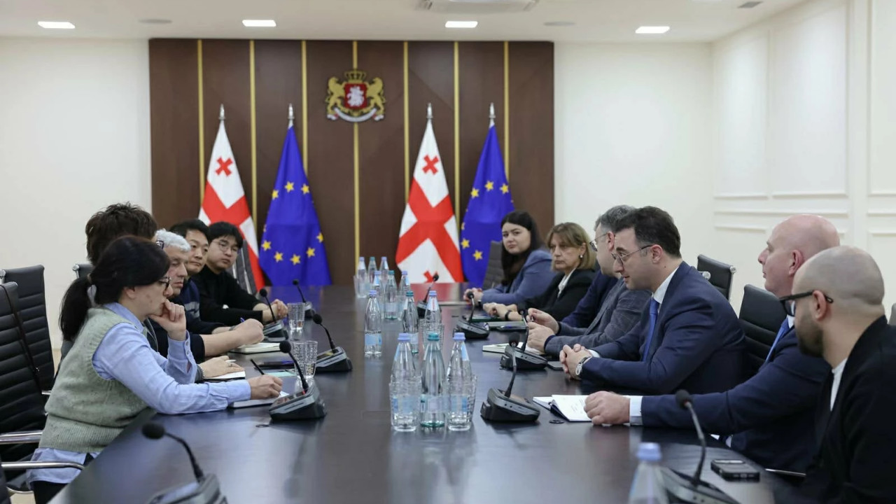 Davit Songulashvili Meets with UNDP Representative and Korean International Expert