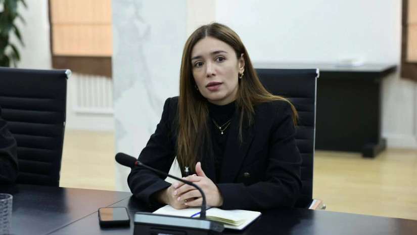 “Car Imports Are Increasing, Which Means More Harmful Emissions — This Is a Challenge That Requires a Response” – Nino Tandilashvili