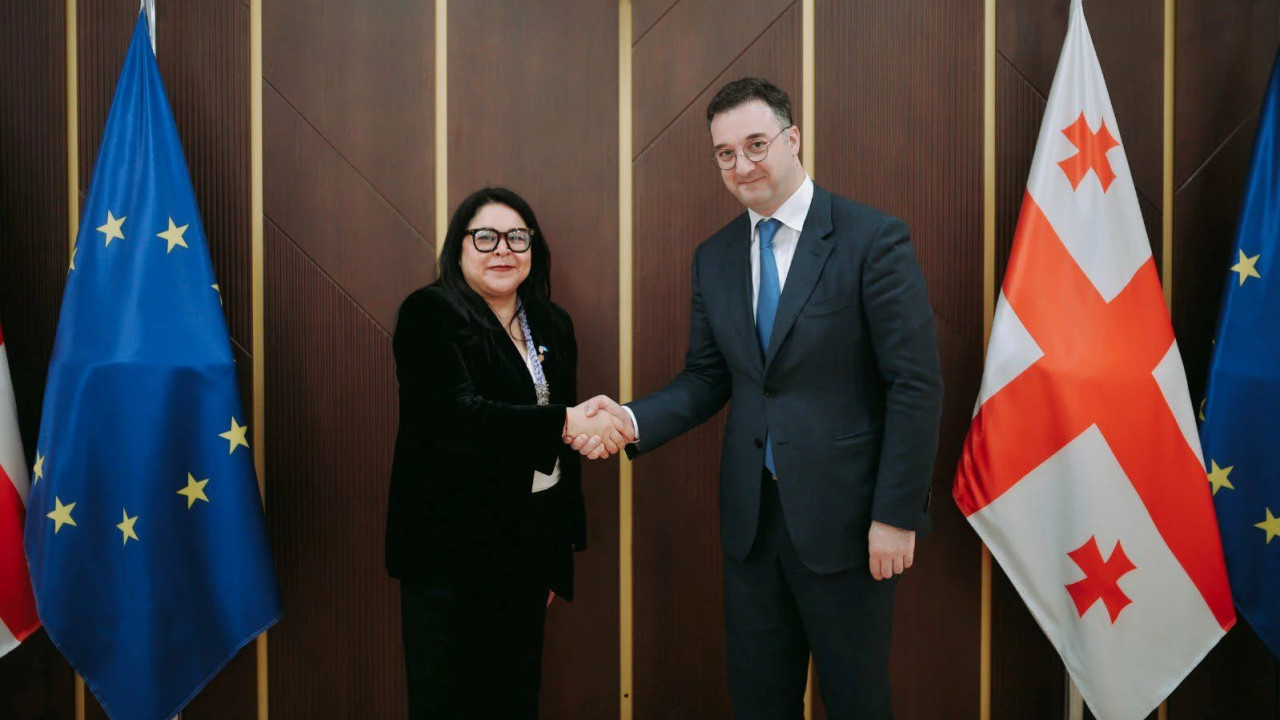 Georgia and Guatemala Discuss Agricultural and Environmental Cooperation