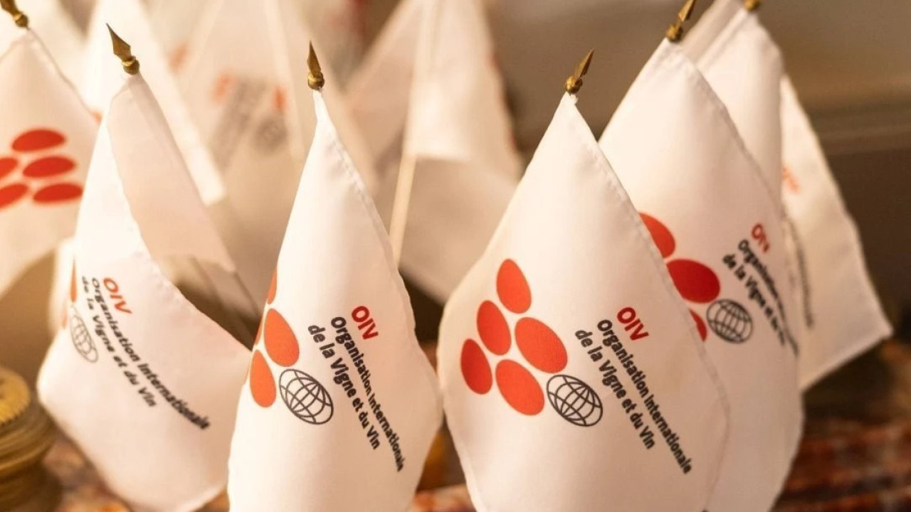 Georgia to host the World Congress of the International Organization of Vine and Wine in 2027