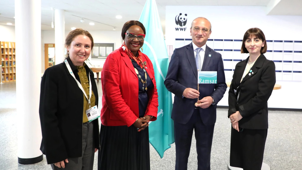 Georgia Presents Environmental Protection Progress at Meeting with the Ramsar Convention Secretariat