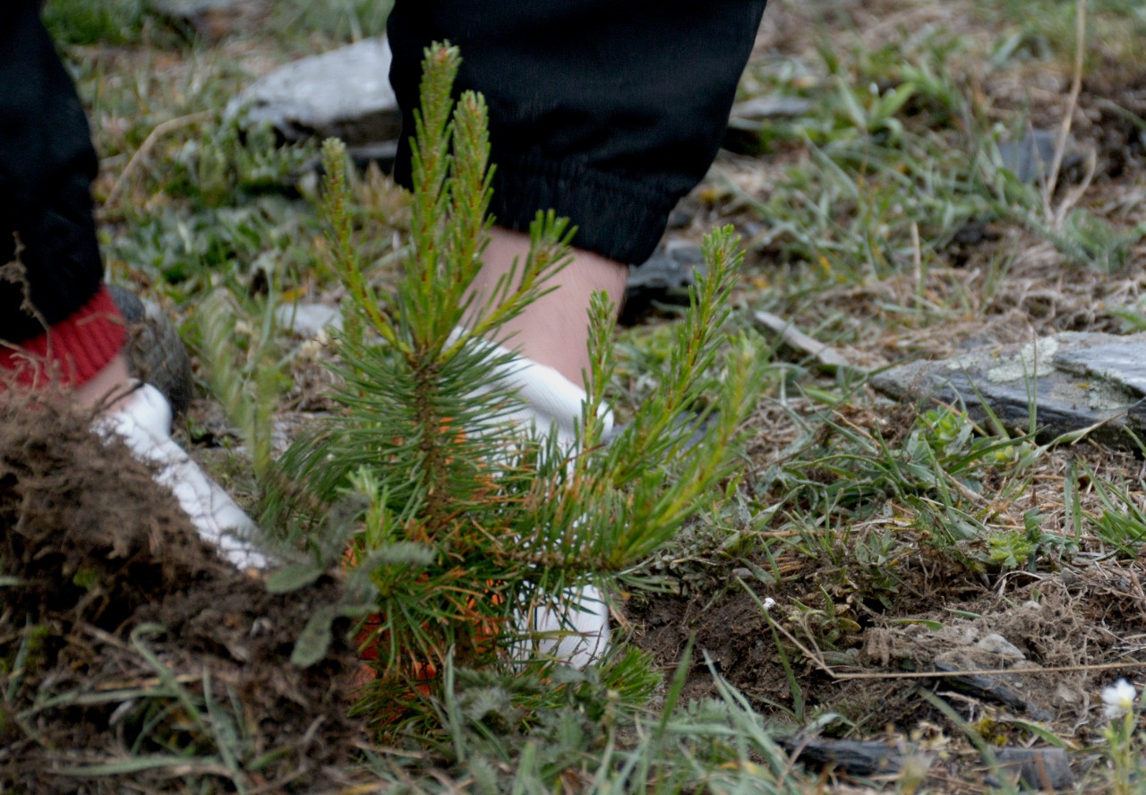 18 Civil Society and Community Projects Launched to Promote ...
