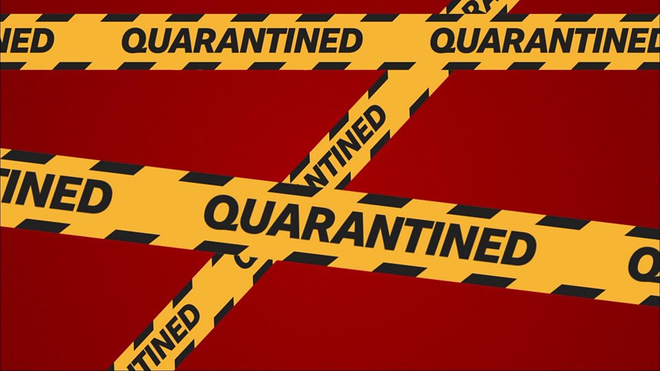 Georgia Announces Nationwide Quarantine - Culture - CBW