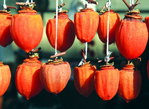 Georgia Exports 250 Tons of Persimmons to Foreign Markets - Economy - CBW