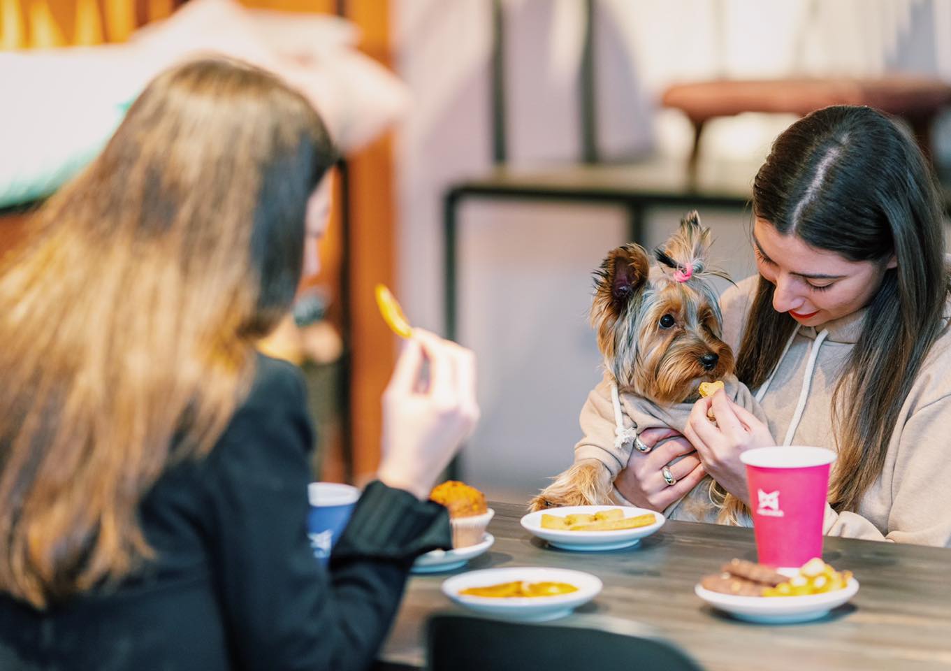 Misho s Pet Cafe  is a First Themed Cafe  in Tbilisi to 