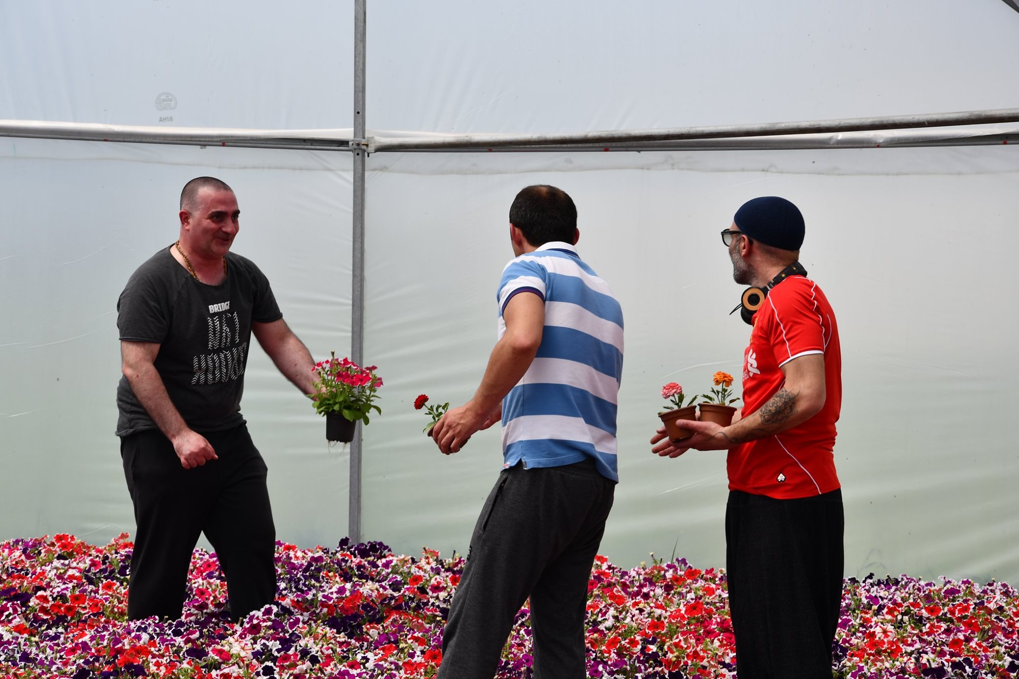Under EUfunded Project Inmates Grow Flowers in Penitentiary Facilities