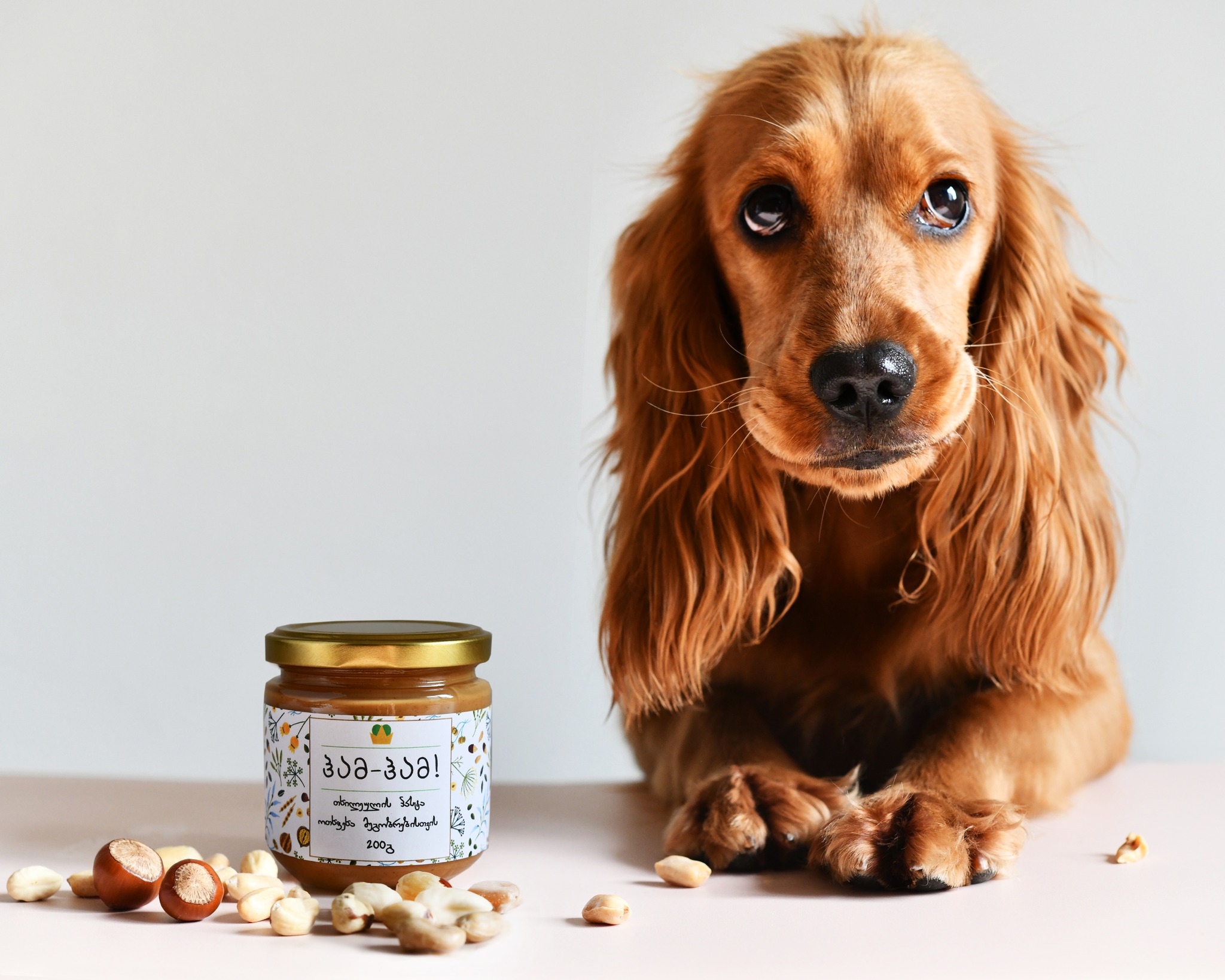 Chkviani Tkhili Releases Nut Butter for Dogs Business CBW